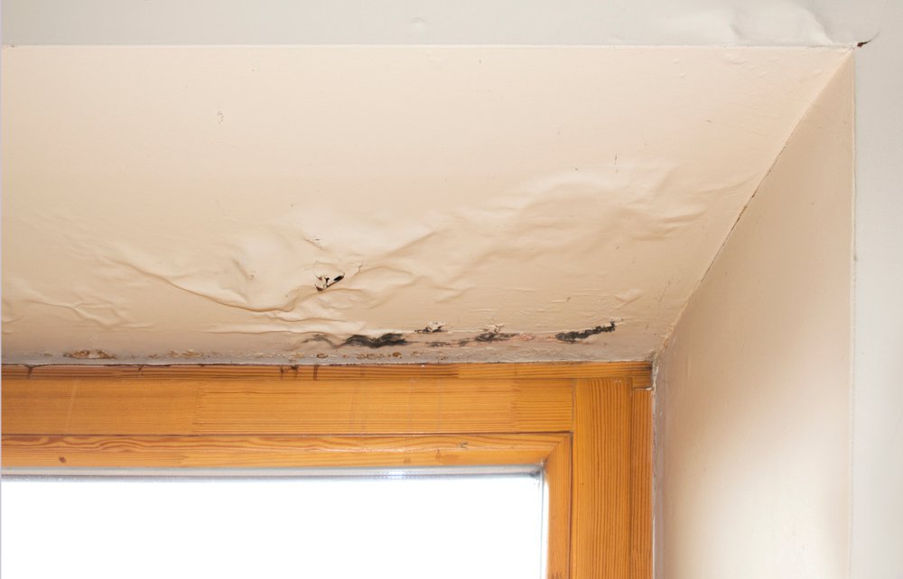 5 Signs Of Water Damage Inside Your Home You Need To Be Aware Of