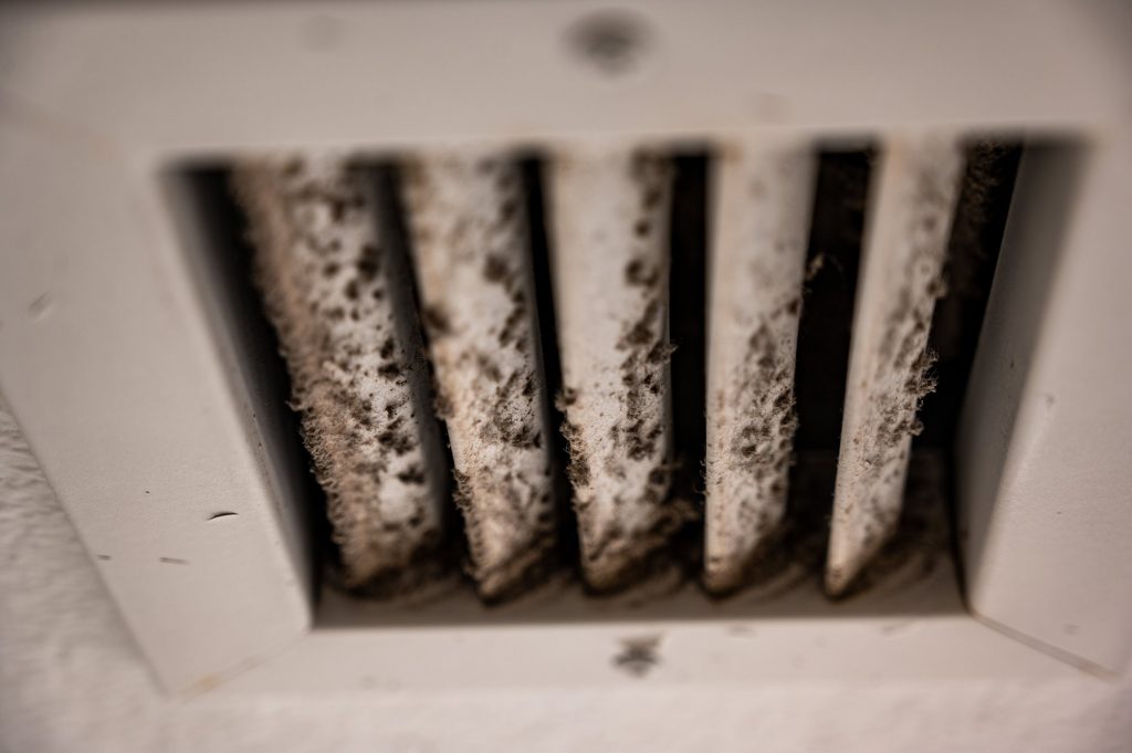 Spore Spots - 4 Areas Of Your Home Most At Risk Of Mold