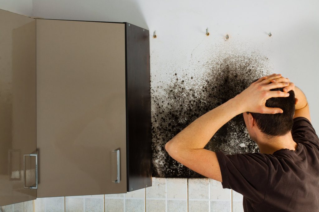 Kitchen Concerns – 3 Places To Find Mold In Your Kitchen cover