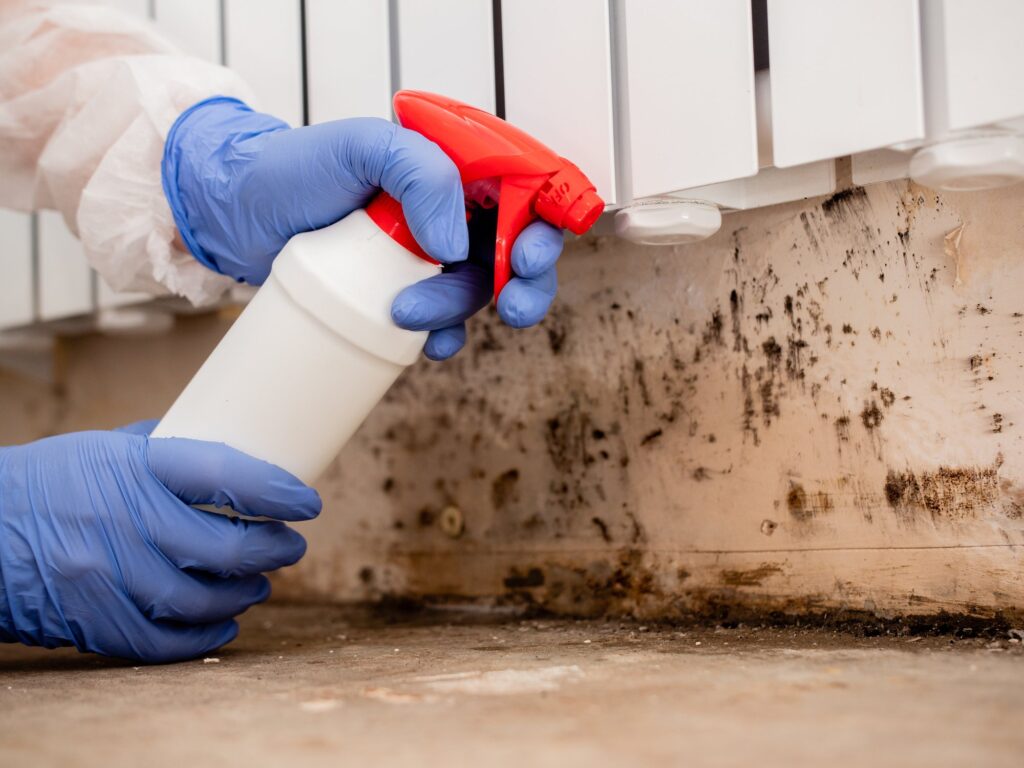 Managing Mold – How To Remove Mold From Different Surfaces cover